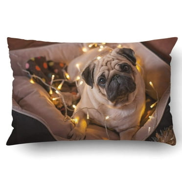 16x16 Multicolor Funny Pug Dog Owner Girl Funny Pug Dog Unicorn Pet Owner Puppy Breeding Throw Pillow 